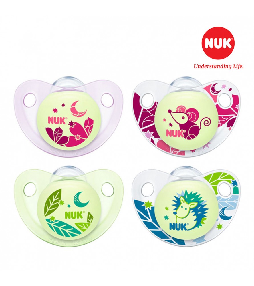 Bộ 2 ti giả NUK Silicone Night/Day 6-18m